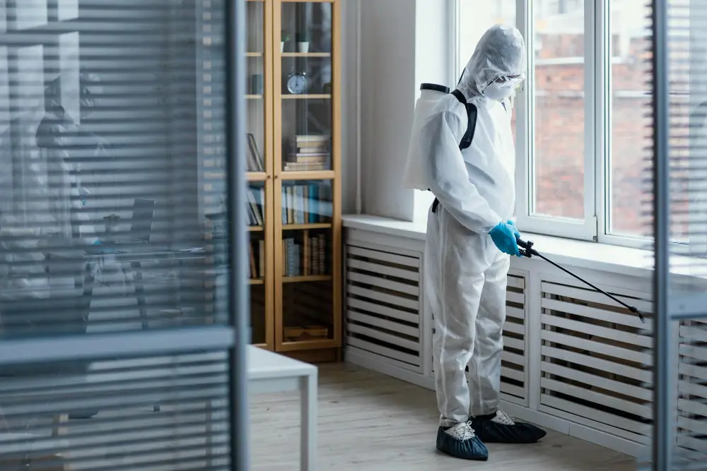 Pest Control Services in London