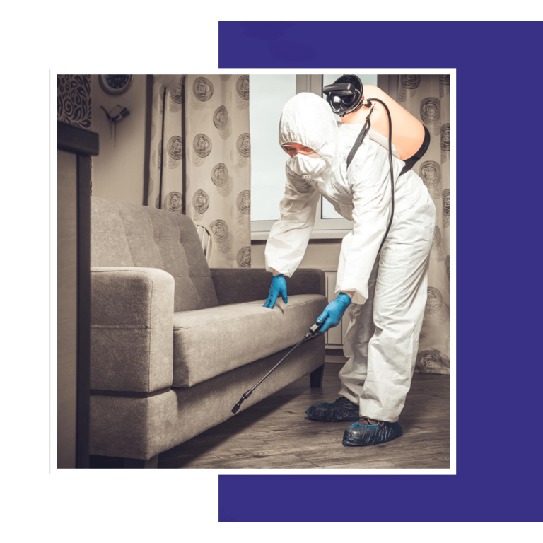 Reliable Pest Control Services Near Me