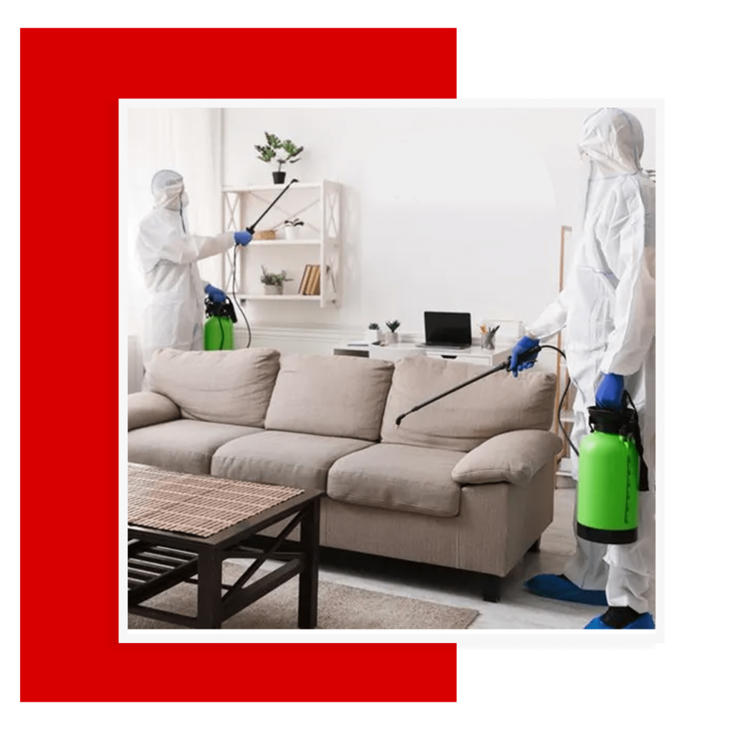 Pest Control Services in London