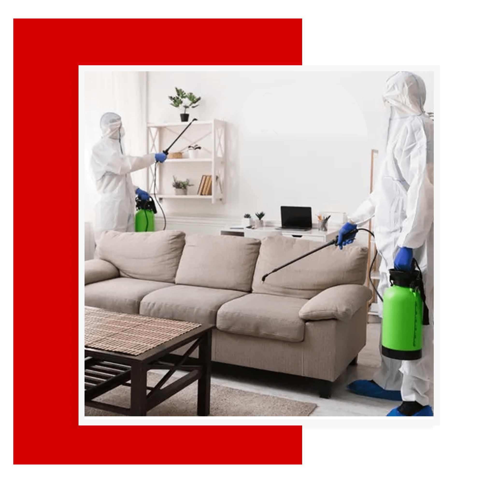 Awesome Pest Control Services in London and Surrounding Areas 2 1 Pest Control Services in London